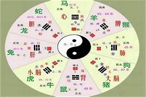 燊五行|燊字的五行属性